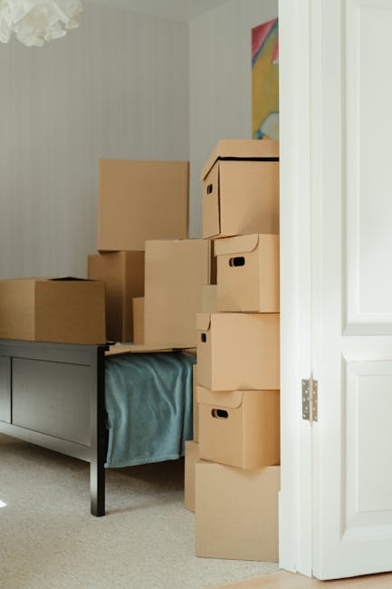 A woman with curly dark hair, dressed in a white t-shirt and light-colored trousers, stands in a room surrounded by numerous flattened cardboard boxes and some upright boxes stacked against the white wall. Several cardboard boxes are on the floor, some open and others sealed, indicating the packing stage of a home relocation. The boxes vary in size and are made of brown corrugated cardboard, with some wrapped in plastic or taped for secure packing. In the background, there is a partially visible wooden stool, and the room has ample natural lighting, contributing to a clean, minimalist environment typical of a professional removals process. This scene depicts the packing, organizing, and preparation phase before loading during a house removal and furniture transport service, consistent with services offered by Man and Van Catford. The setting suggests the interior of a residential property in the process of being prepared for transportation to a new home, emphasizing careful packing and efficient load management.